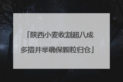 陕西小麦收割超八成 多措并举确保颗粒归仓