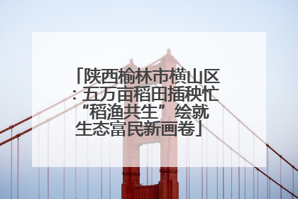 陕西榆林市横山区：五万亩稻田插秧忙 “稻渔共生”绘就生态富民新画卷