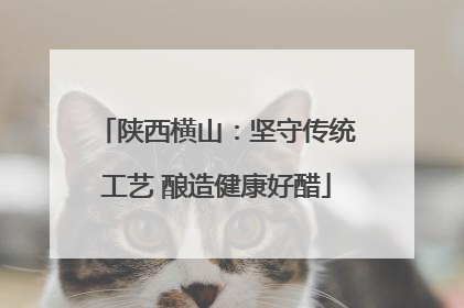 陕西横山：坚守传统工艺 酿造健康好醋