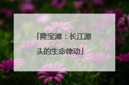 隆宝滩：长江源头的生命律动