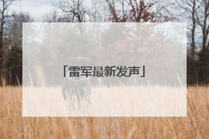 雷军最新发声