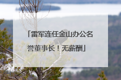 雷军连任金山办公名誉董事长！无薪酬