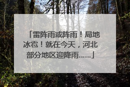 雷阵雨或阵雨！局地冰雹！就在今天，河北部分地区迎降雨……
