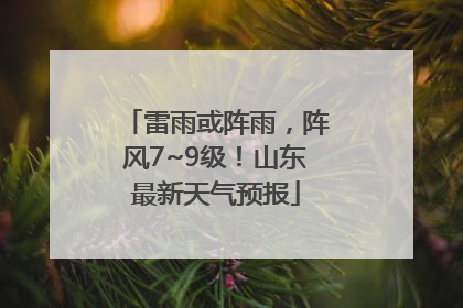 雷雨或阵雨，阵风7~9级！山东最新天气预报