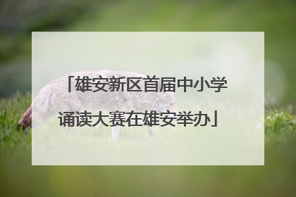 雄安新区首届中小学诵读大赛在雄安举办