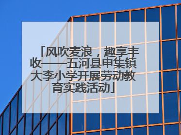 风吹麦浪，趣享丰收——五河县申集镇大李小学开展劳动教育实践活动