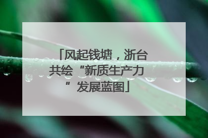 风起钱塘，浙台共绘“新质生产力”发展蓝图
