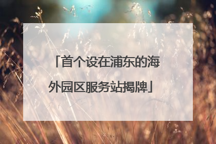 首个设在浦东的海外园区服务站揭牌