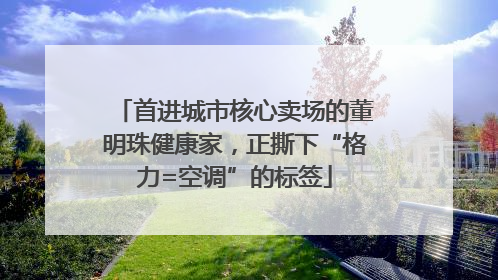 首进城市核心卖场的董明珠健康家，正撕下“格力=空调”的标签