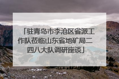 驻青岛市李沧区省派工作队莅临山东省地矿局二四八大队调研座谈