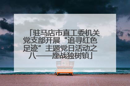 驻马店市直工委机关党支部开展“追寻红色足迹”主题党日活动之八——鏖战独树镇