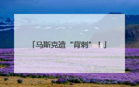 马斯克遭“背刺”！