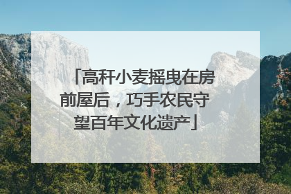 高秆小麦摇曳在房前屋后，巧手农民守望百年文化遗产