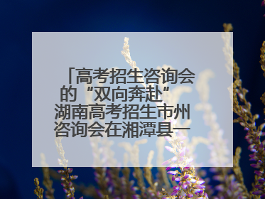 高考招生咨询会的“双向奔赴” 湖南高考招生市州咨询会在湘潭县一中举行