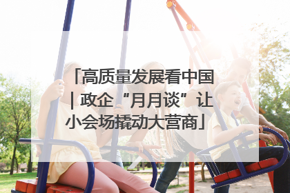 高质量发展看中国｜政企“月月谈”让小会场撬动大营商