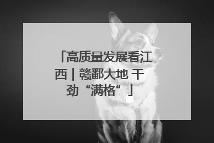 高质量发展看江西｜赣鄱大地 干劲“满格”
