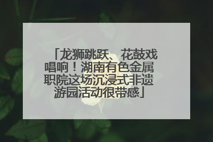 龙狮跳跃、花鼓戏唱响！湖南有色金属职院这场沉浸式非遗游园活动很带感
