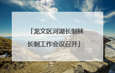 龙文区河湖长制林长制工作会议召开