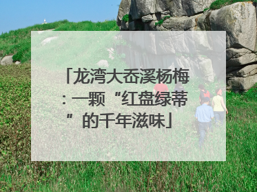 龙湾大岙溪杨梅：一颗“红盘绿蒂”的千年滋味