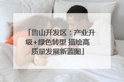 鲁山开发区：产业升级+绿色转型 描绘高质量发展新蓝图