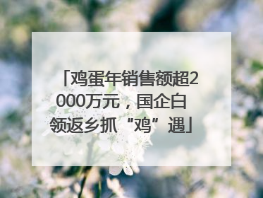 鸡蛋年销售额超2000万元，国企白领返乡抓“鸡”遇