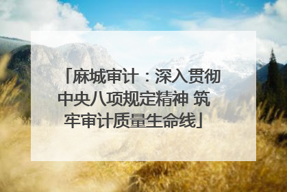 麻城审计：深入贯彻中央八项规定精神 筑牢审计质量生命线