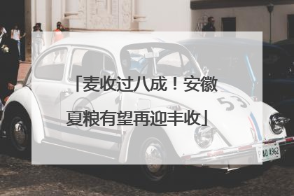 麦收过八成！安徽夏粮有望再迎丰收