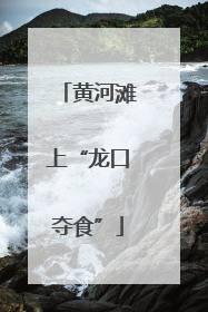 黄河滩上“龙口夺食”