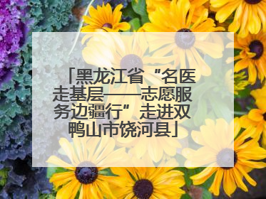 黑龙江省“名医走基层——志愿服务边疆行”走进双鸭山市饶河县