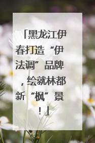 黑龙江伊春打造“伊法调”品牌，绘就林都新“枫”景！