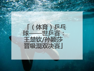 （体育）乒乓球——世乒赛：王楚钦/孙颖莎晋级混双决赛