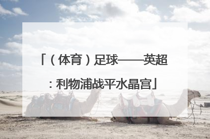 （体育）足球——英超：利物浦战平水晶宫