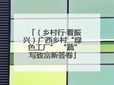 （乡村行·看振兴）广西乡村“绿色工厂” “蔬”写致富新答卷