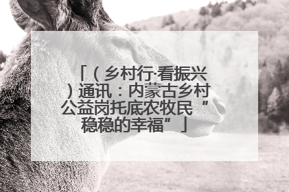 （乡村行·看振兴）通讯：内蒙古乡村公益岗托底农牧民“稳稳的幸福”