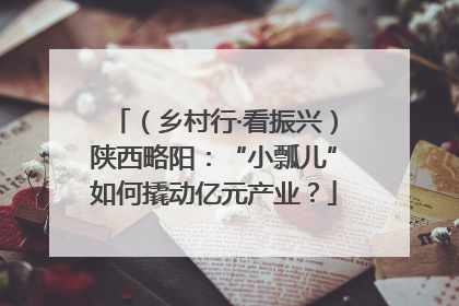 （乡村行·看振兴）陕西略阳：“小瓢儿”如何撬动亿元产业？