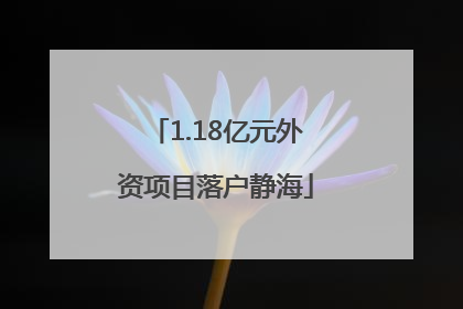1.18亿元外资项目落户静海