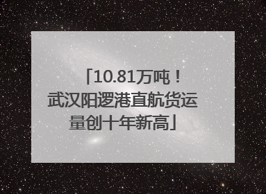 10.81万吨！武汉阳逻港直航货运量创十年新高