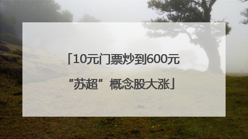 10元门票炒到600元 “苏超”概念股大涨