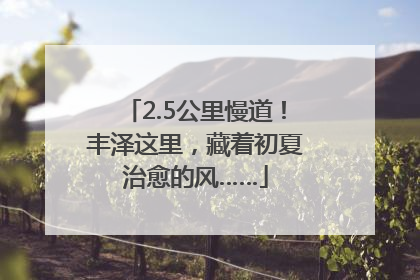 2.5公里慢道！丰泽这里，藏着初夏治愈的风……
