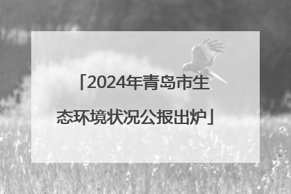 2024年青岛市生态环境状况公报出炉
