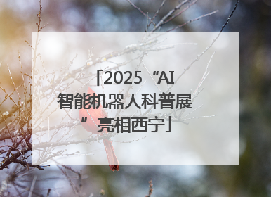 2025“AI智能机器人科普展”亮相西宁