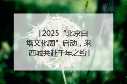 2025“北京白塔文化周”启动，来西城共赴千年之约