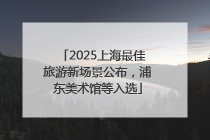2025上海最佳旅游新场景公布，浦东美术馆等入选