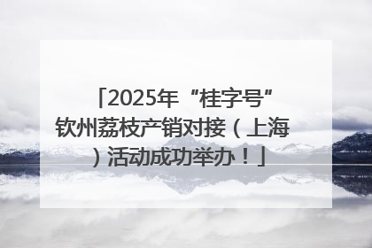 2025年“桂字号”钦州荔枝产销对接（上海）活动成功举办！