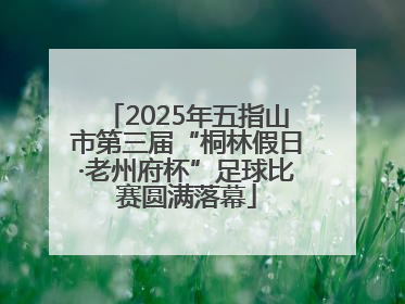 2025年五指山市第三届“桐林假日·老州府杯”足球比赛圆满落幕
