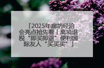 2025年廊坊经洽会亮点抢先看丨离境退税“即买即退”便利国际友人“买买买”