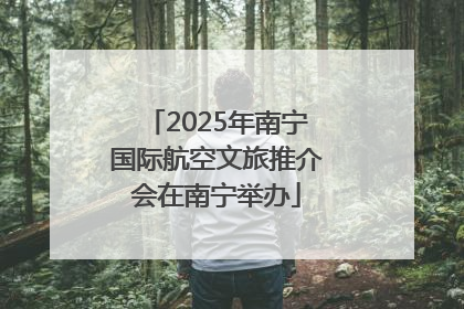 2025年南宁国际航空文旅推介会在南宁举办