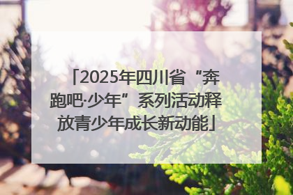 2025年四川省“奔跑吧·少年”系列活动释放青少年成长新动能
