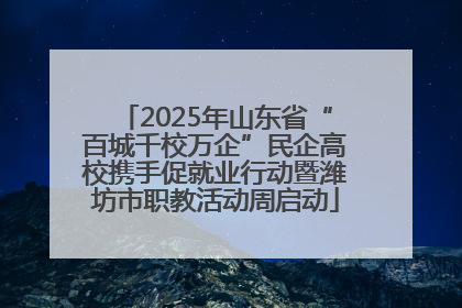 2025年山东省“百城千校万企”民企高校携手促就业行动暨潍坊市职教活动周启动