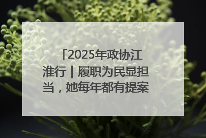 2025年政协江淮行｜履职为民显担当，她每年都有提案被评为“优秀”